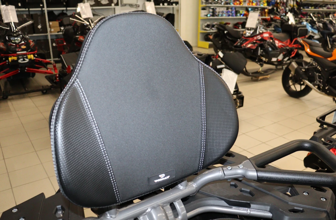 Квадроцикл PROMAX RENEGADE 300 LONG WINCH PRO (2025) в Новокуйбышевске