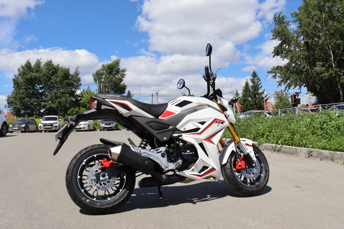 Мотоцикл PROMAX STRYKER 200(49) 2.0 в Новокуйбышевске