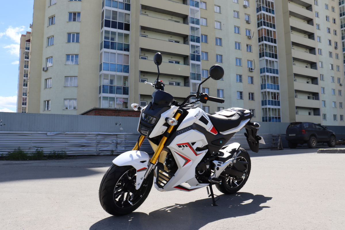 Мотоцикл PROMAX STRYKER 200(49) 2.0 в Новокуйбышевске