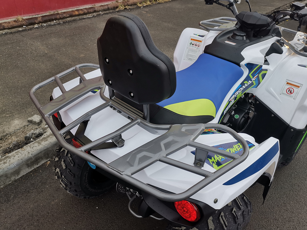 Квадроцикл PROMAX RENEGADE 280 LUX (2025) в Новокуйбышевске