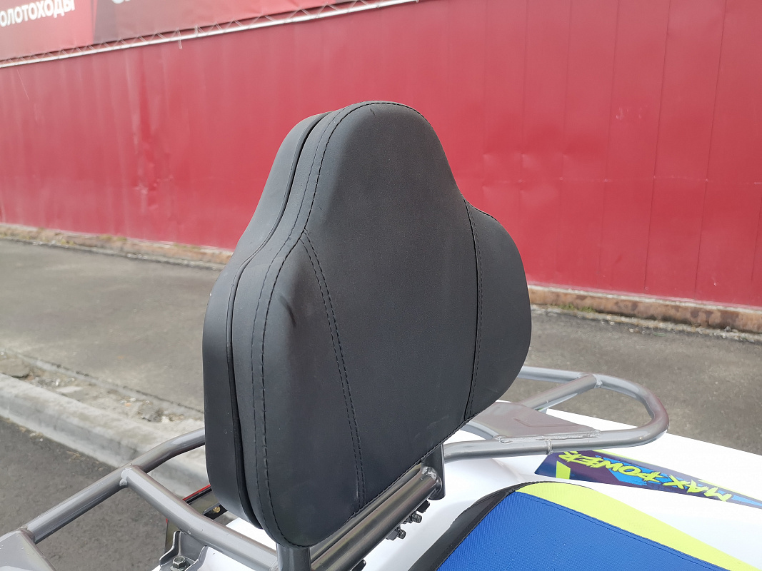 Квадроцикл PROMAX RENEGADE 280 LUX (2025) в Новокуйбышевске