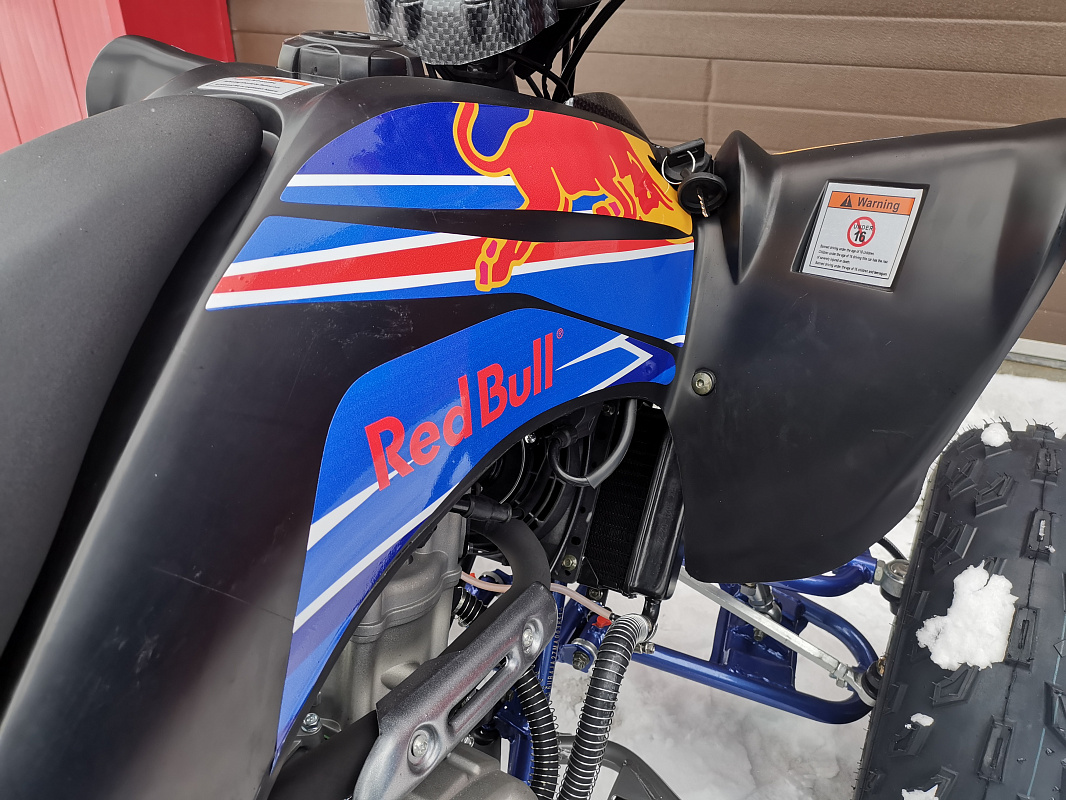 Квадроцикл PROMAX RAPTOR 300 NEW RedBull в Новокуйбышевске