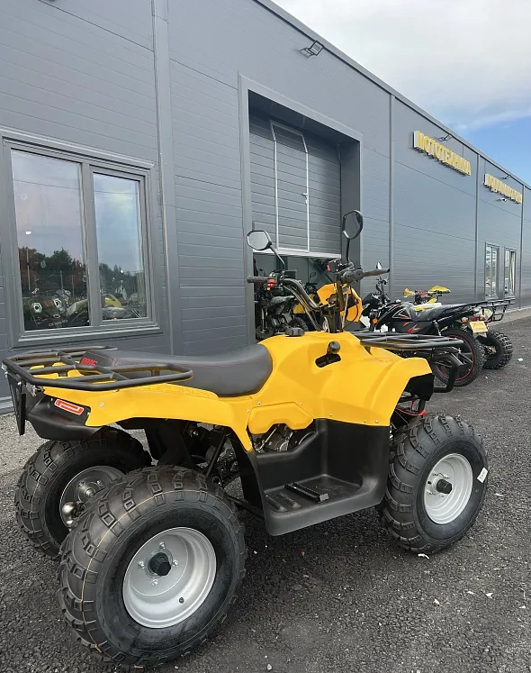 КВАДРОЦИКЛ IRBIS ATV 250  в Новокуйбышевске