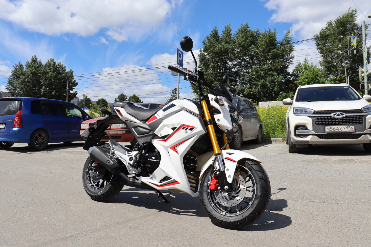 Мотоцикл PROMAX STRYKER 200(49) 2.0 в Новокуйбышевске