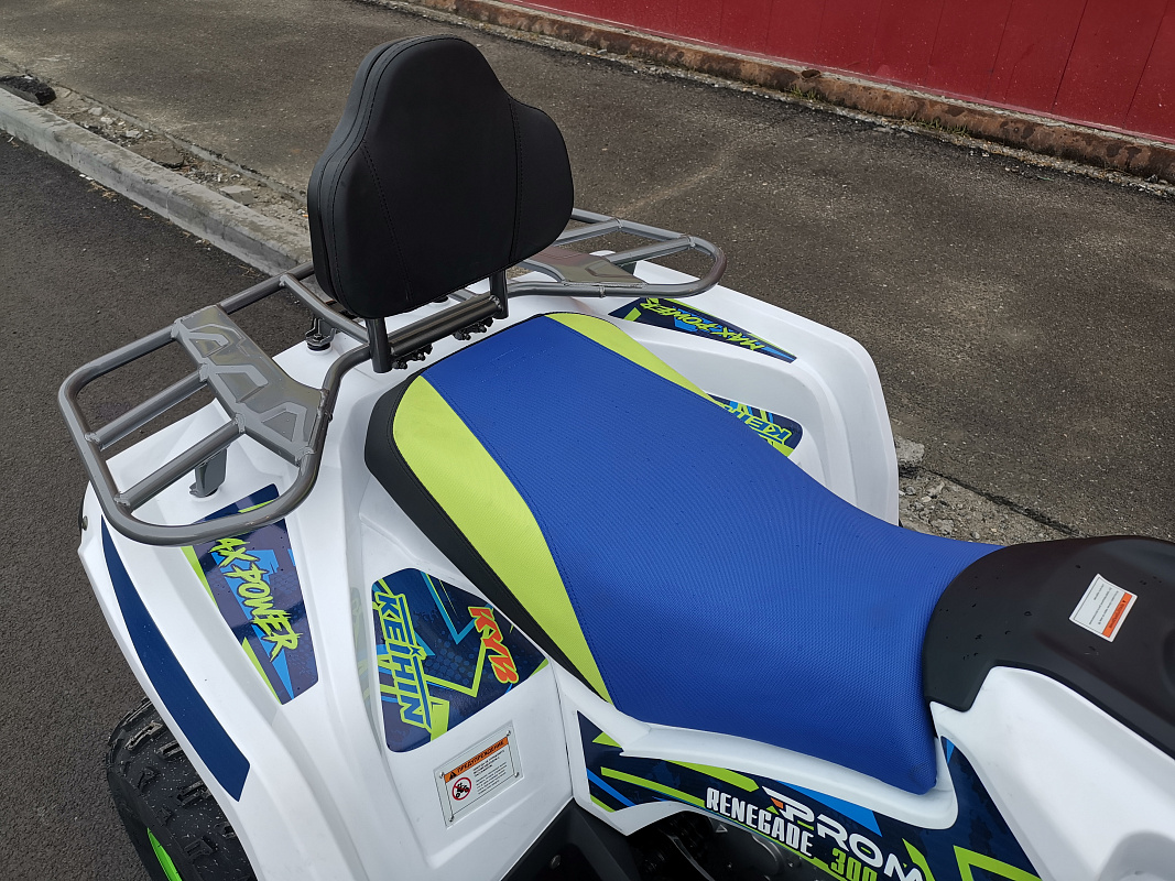 Квадроцикл PROMAX RENEGADE 280 LUX (2025) в Новокуйбышевске
