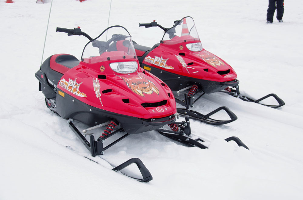 Снегоход РМ ТАЙГА РЫСЬ в Новокуйбышевске