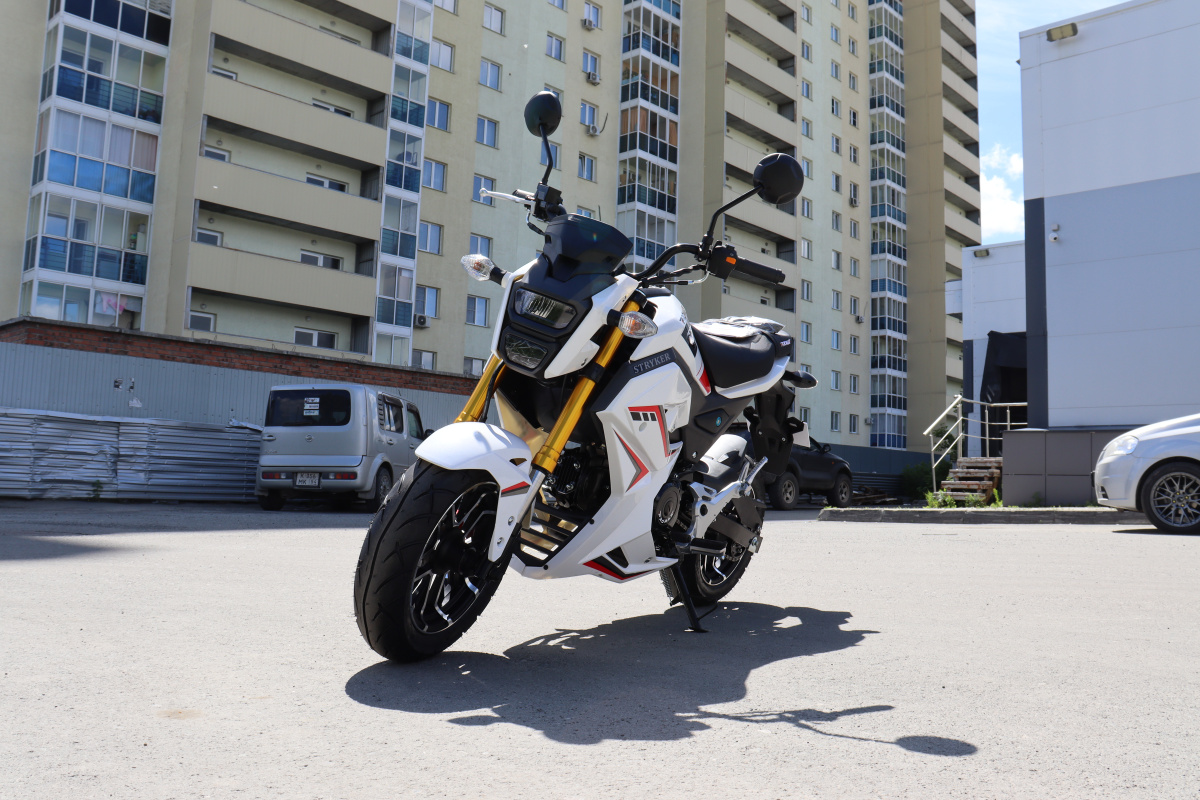 Мотоцикл PROMAX STRYKER 200(49) 2.0 в Новокуйбышевске