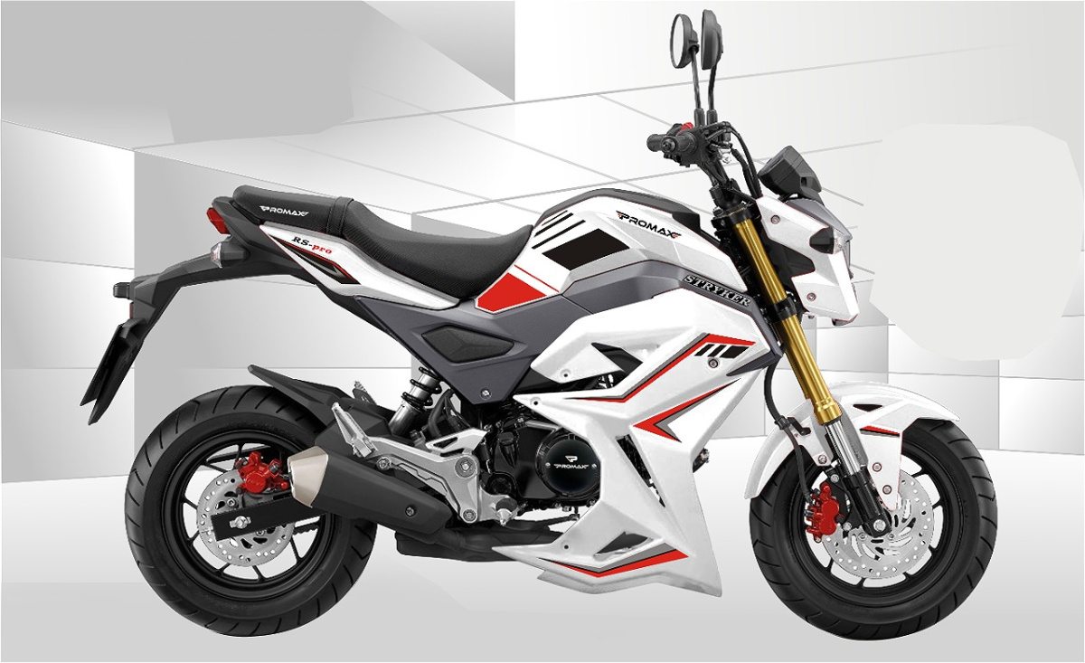 Мотоцикл PROMAX STRYKER 200(49) 2.0 в Новокуйбышевске