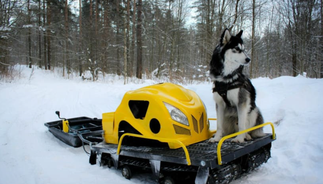 Мотобуксировщик LEBEDEV MOTORS ВОЛКОДАВ POWER V13 в Новокуйбышевске