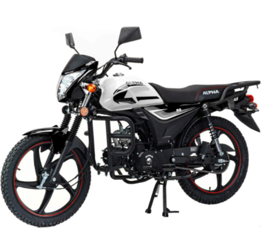 Мопед MOTOLAND (МОТОЛЕНД) Альфа RS 11 (LM48-B) в Новокуйбышевске
