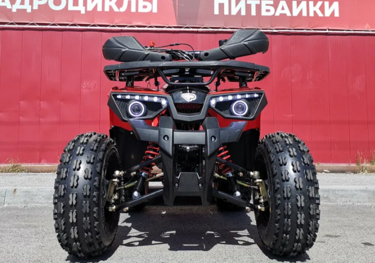 Квадроцикл PROMAX WILD 175 BASIC в Новокуйбышевске