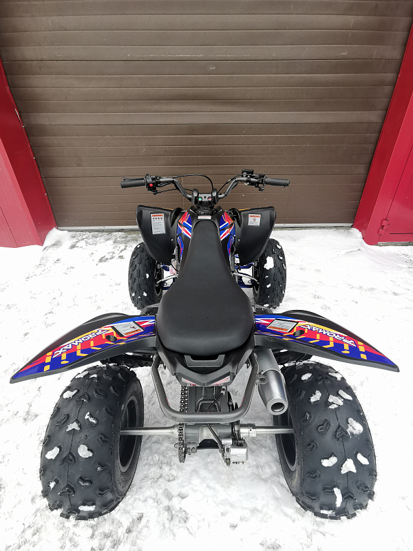 Квадроцикл PROMAX RAPTOR 300 NEW RedBull в Новокуйбышевске