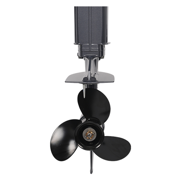 ЛОДОЧНЫЙ МОТОР ALLFA CG T30 FW S в Новокуйбышевске