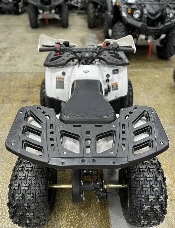 Квадроцикл PROMAX WILD 2.0 190 в Новокуйбышевске