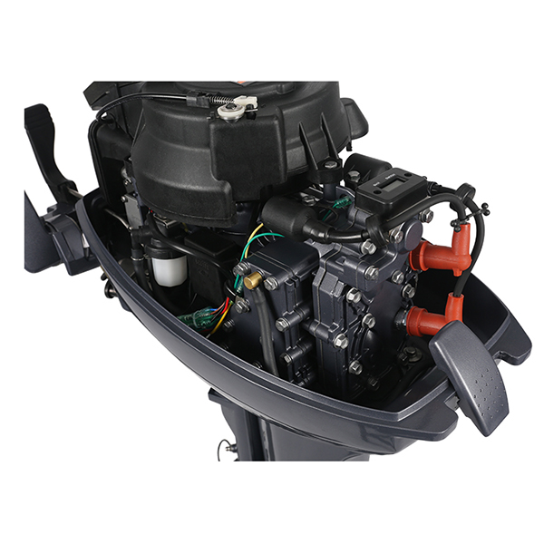 ЛОДОЧНЫЙ МОТОР ALLFA CG Т9,9 Limit в Новокуйбышевске