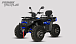 Квадроцикл PROMAX TAURUS 300 MAX-PRO LONG в Новокуйбышевске