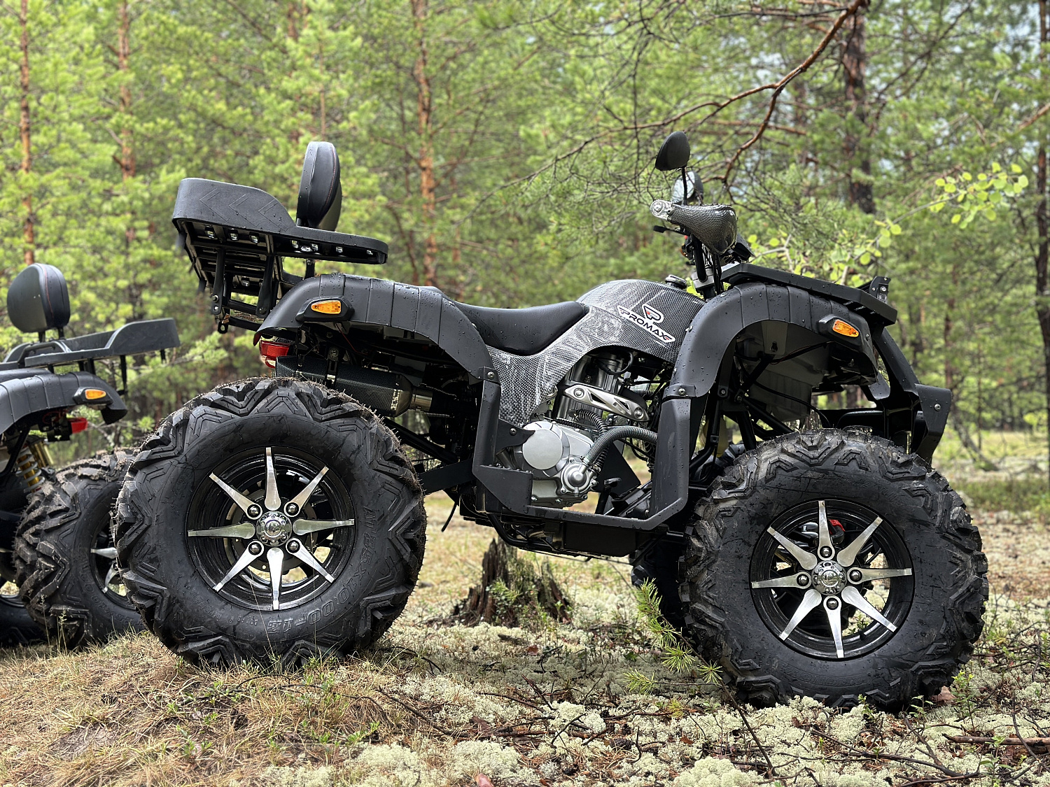 Квадроцикл PROMAX 320 DOMINATOR (2025) в Новокуйбышевске