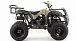 Квадроцикл MOTOLAND (МОТОЛЕНД) 200 ALL ROAD в Новокуйбышевске