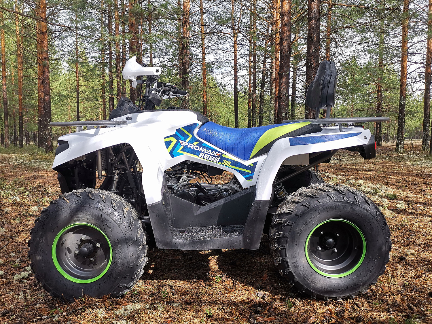 Квадроцикл PROMAX RENEGADE 280 (2025) в Новокуйбышевске