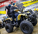 Квадроцикл PROMAX ATV 250 (2025) в Новокуйбышевске