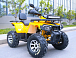 Квадроцикл MOTOLAND (МОТОЛЕНД) VOX200 WILD TRACK X PRO (баланс. вал) в Новокуйбышевске