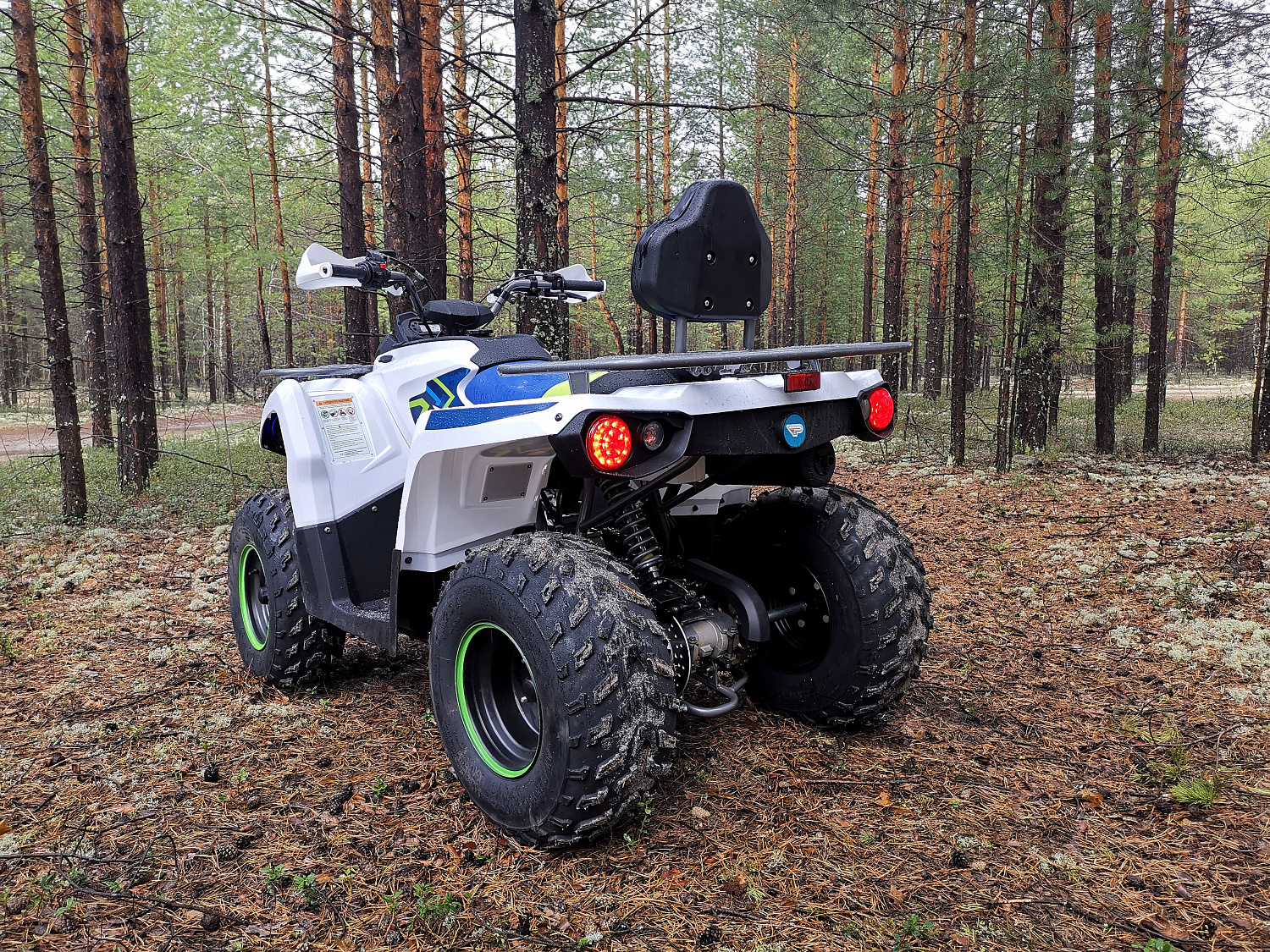 Квадроцикл PROMAX RENEGADE 280 (2025) в Новокуйбышевске