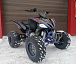 Квадроцикл PROMAX RAPTOR 300 NEW RedBull в Новокуйбышевске