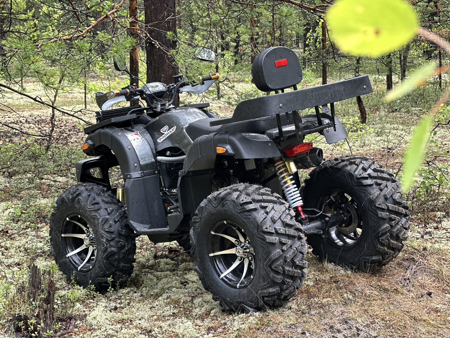 Квадроцикл PROMAX 320 DOMINATOR (2025) в Новокуйбышевске