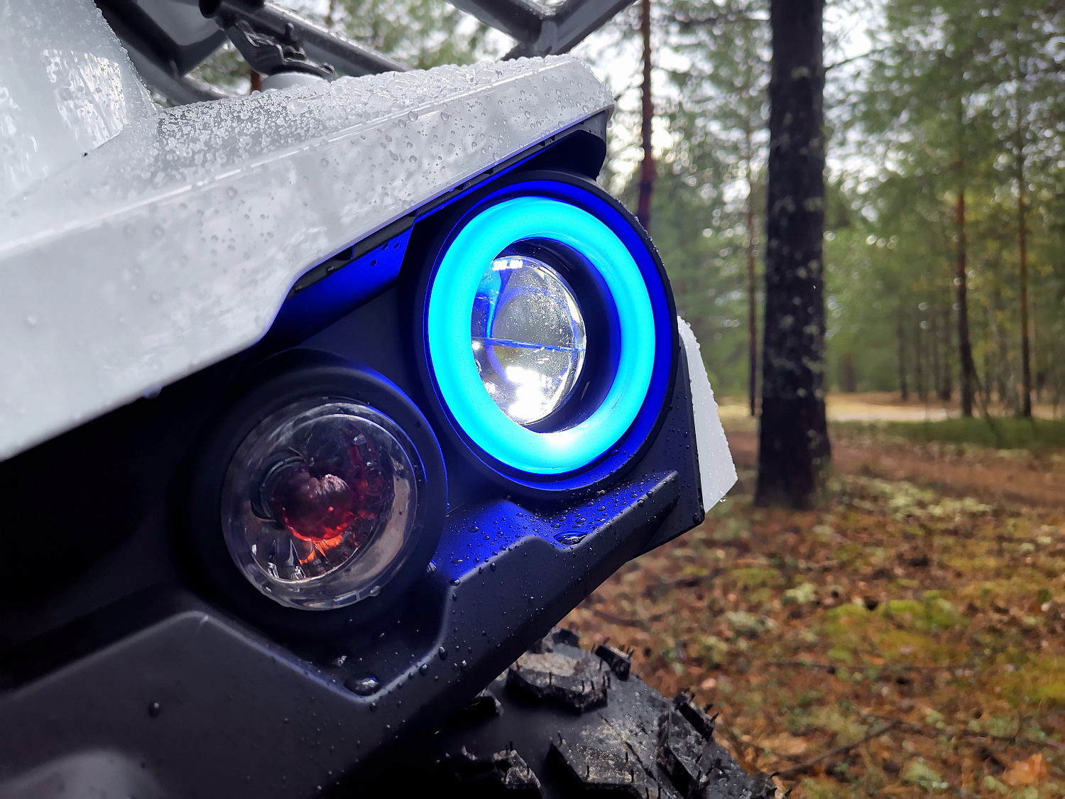 Квадроцикл PROMAX RENEGADE 280 (2025) в Новокуйбышевске