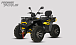 Квадроцикл PROMAX TAURUS 300 MAX-PRO LONG в Новокуйбышевске